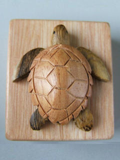 Turtle wooden pencil sharpener